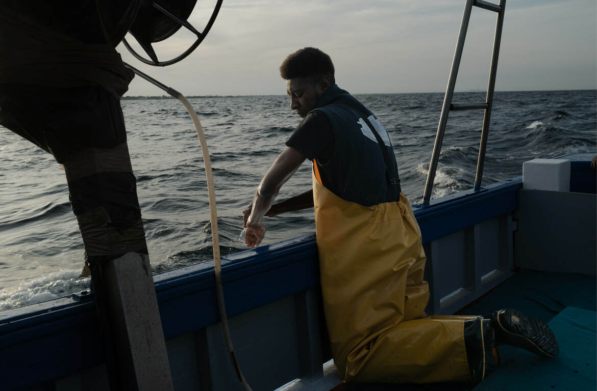 Prendre racine - Exposition Escale à la Grange aux Belles