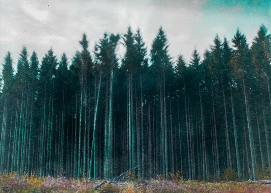 Exposition Faire front 