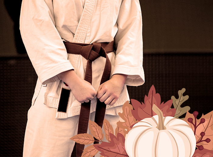 Stage karaté enfants ados automne