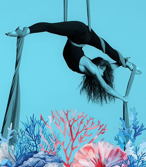 Stage cirque été 