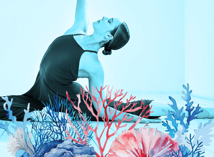 Stage barre au sol été