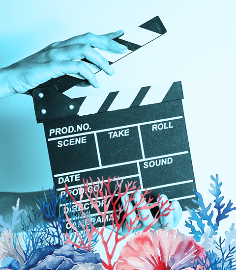 Stage vidéo été