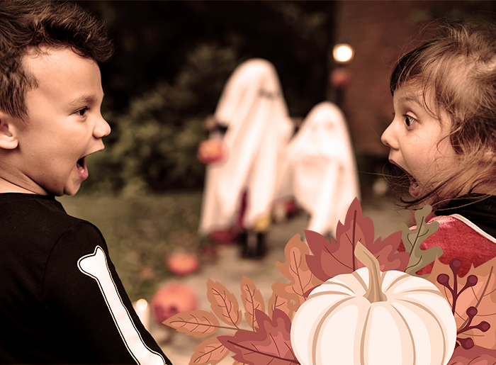 Stage les petits z'artistes automne
