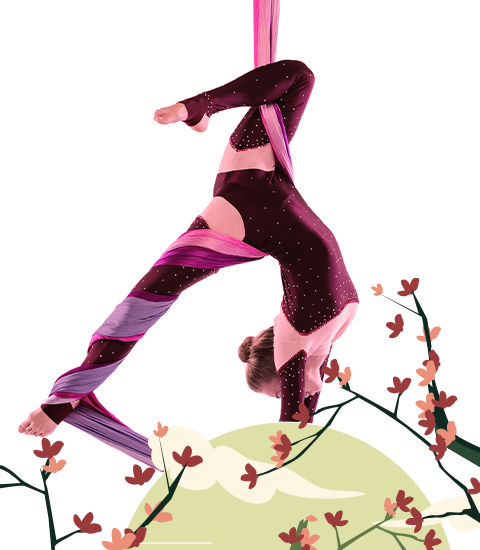 Stage acrobatie aérienne printemps 