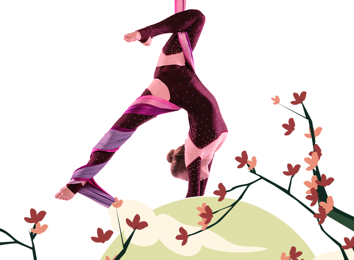 Stage acrobatie aérienne printemps 