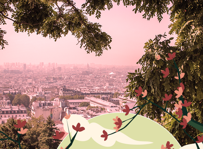 Stage découverte nature en ville printemps