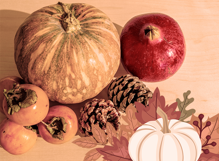 Stage cuisine de saison automne