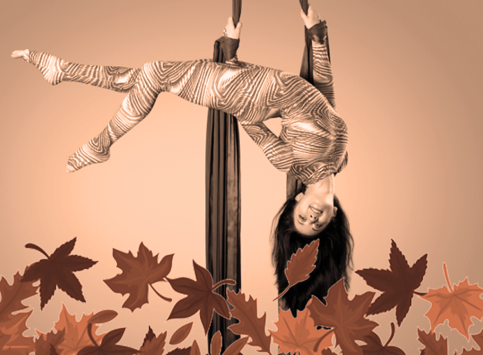 Stage cirque enfants ados automne