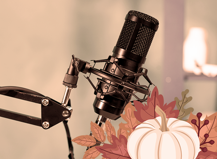 Stage webradio automne