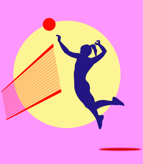 Stage Volley-Ball HIVER