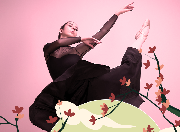 Stage Danse Classique printemps