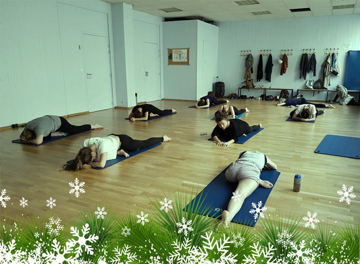 Stage Yoga Doux HIVER