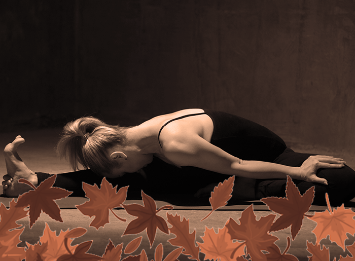 Stage Barre au Sol Automne