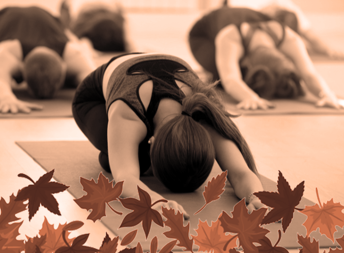 Stage Yoga Intégral automne