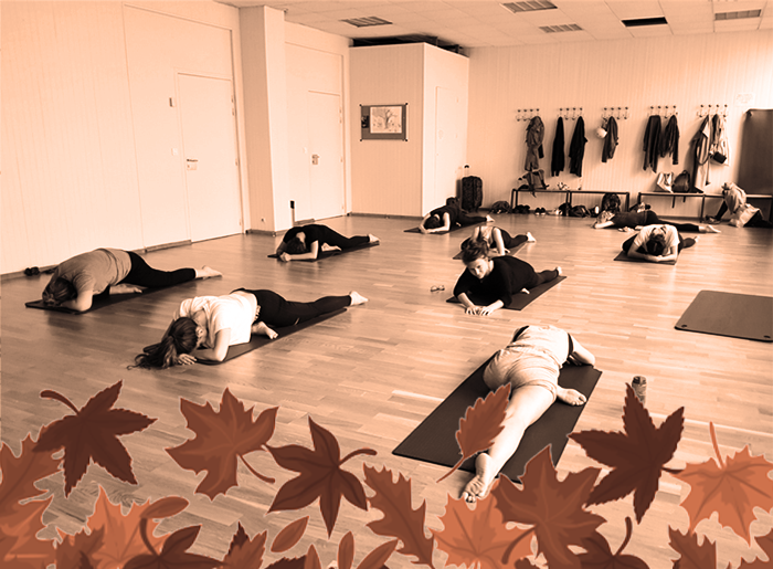 Stage Yoga Doux Automne 