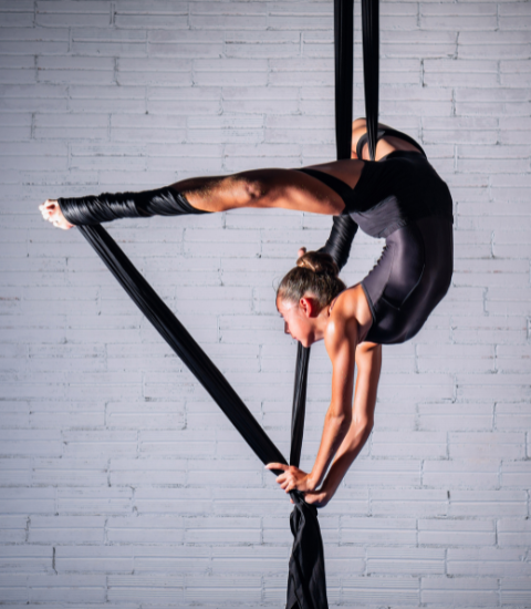Stage de dimanche acrobatie aérienne adultes