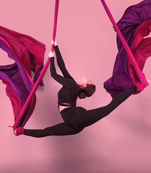 Stage acrobatie aérienne dimanche 