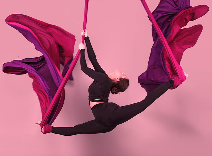 Stage de dimanche acrobatie aérienne adultes