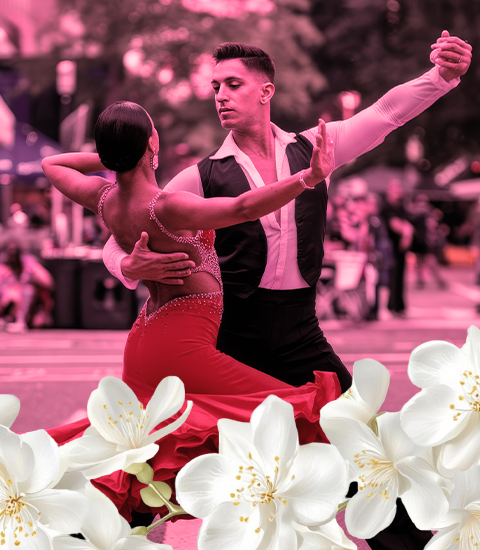 Stage danse latino américaine
